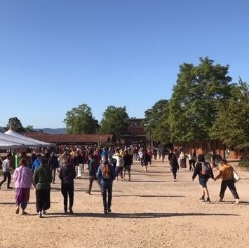 Freizeiten und Fahrten